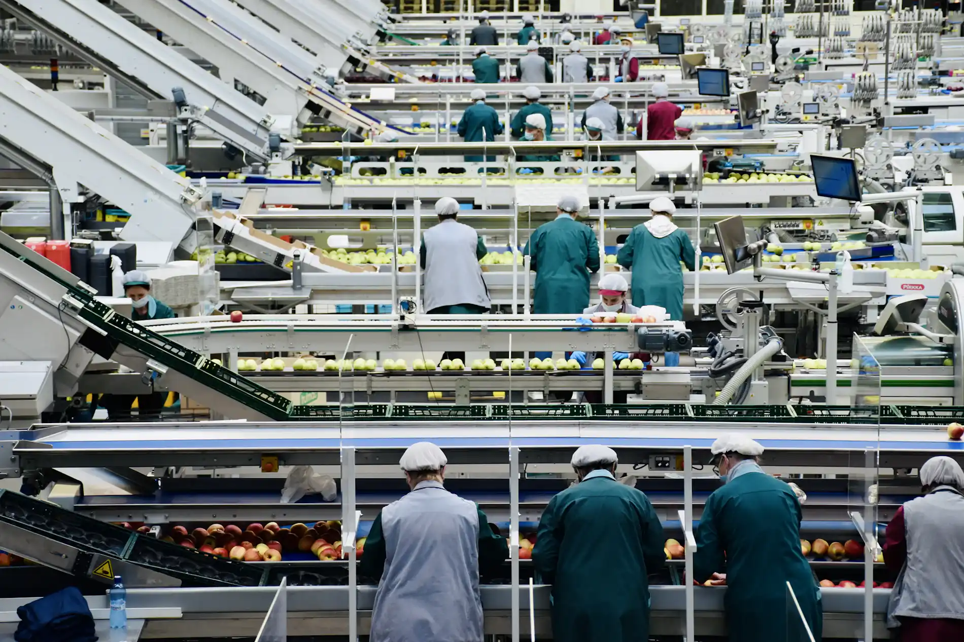 Workers on a food production and packing line
